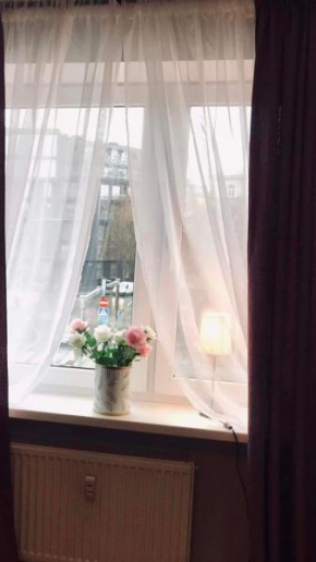 Cozy Central apartment, free parking